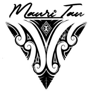 Cushion cover - Cushion cover Design